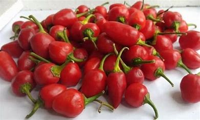Dalle Khursani