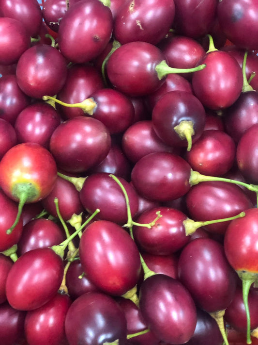 Rukh Tamatar